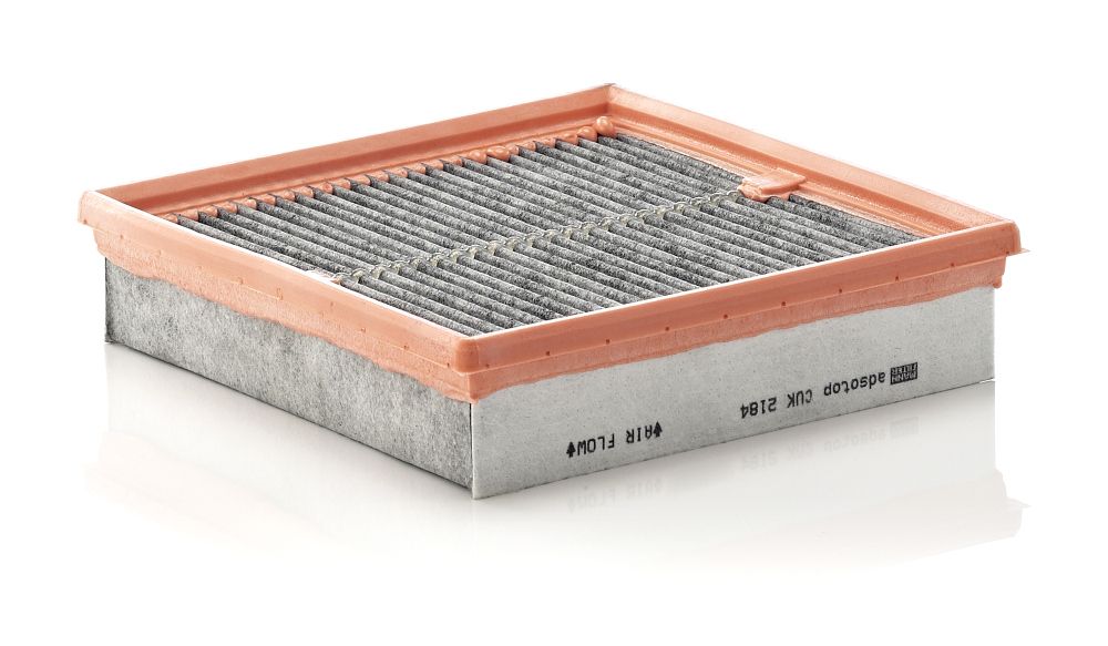 Filter, Innenraumluft