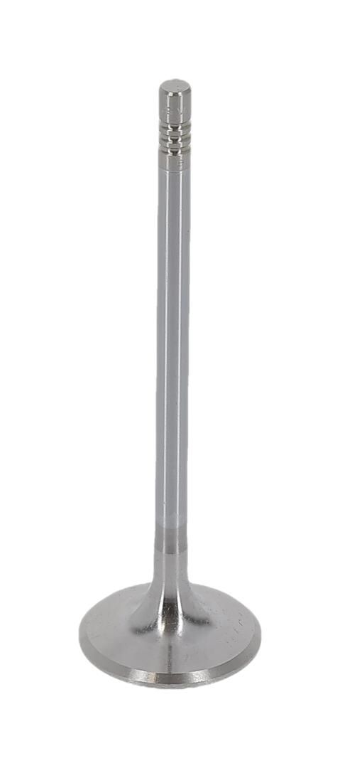 Einlassventil V95040 “AE 94 mm”