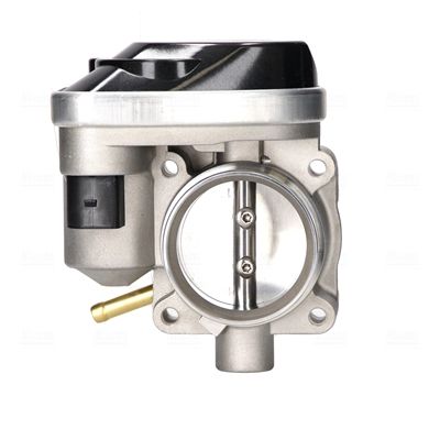 Drosselklappenstutzen