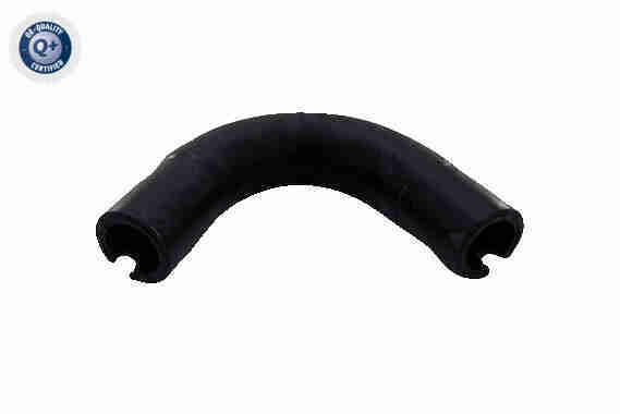 Schlauch, Kurbelgehäuseentlüftung