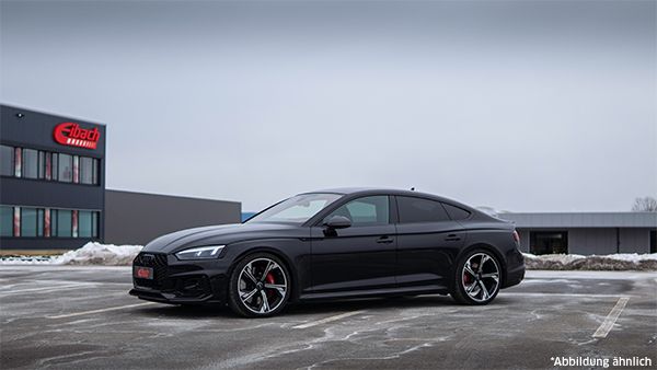 Fahrwerkssatz, Federn