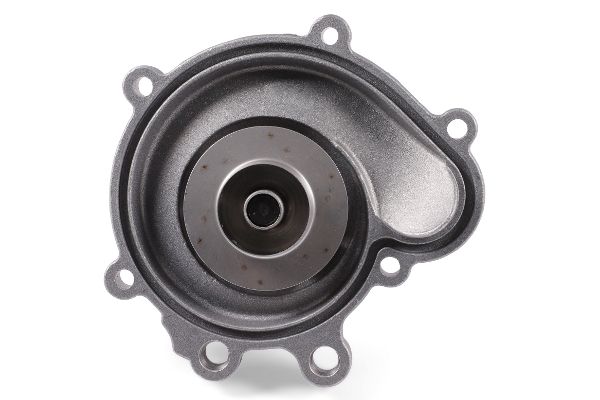 Wasserpumpe, Motorkühlung