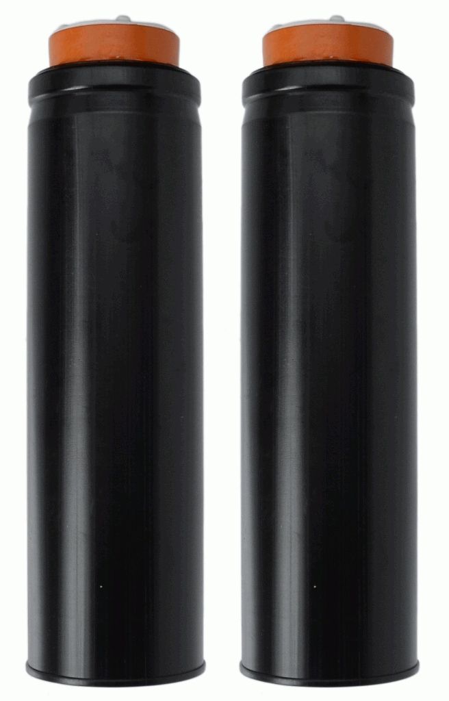 Staubschutzsatz, Stoßdämpfer