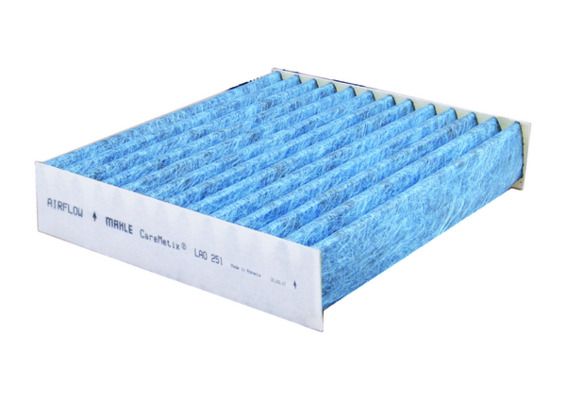 Filter, Innenraumluft