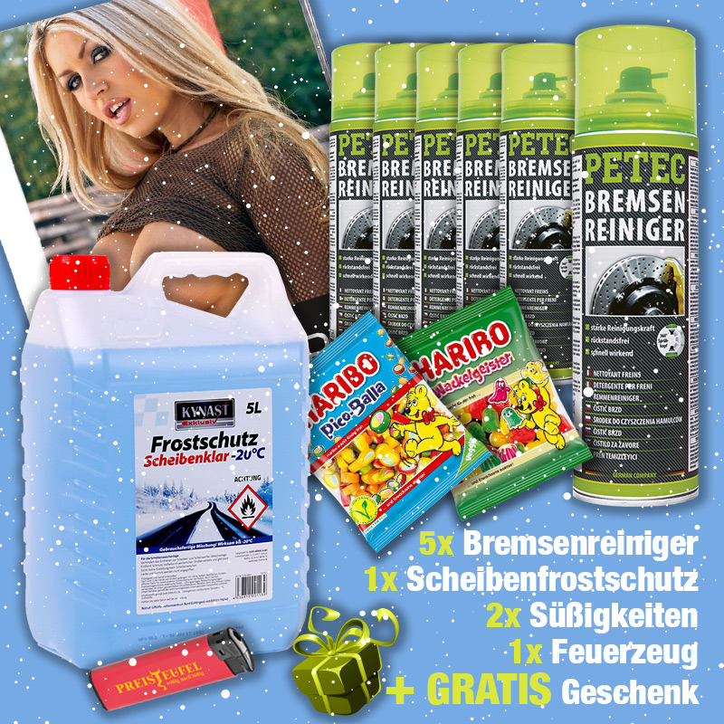 Petec Bremsenreiniger Super DEAL + Scheibenfrostschutz + VIP Sturmfeuerzeug + Haribo + Geschenk + Werkstattkalender 2026 GRATIS