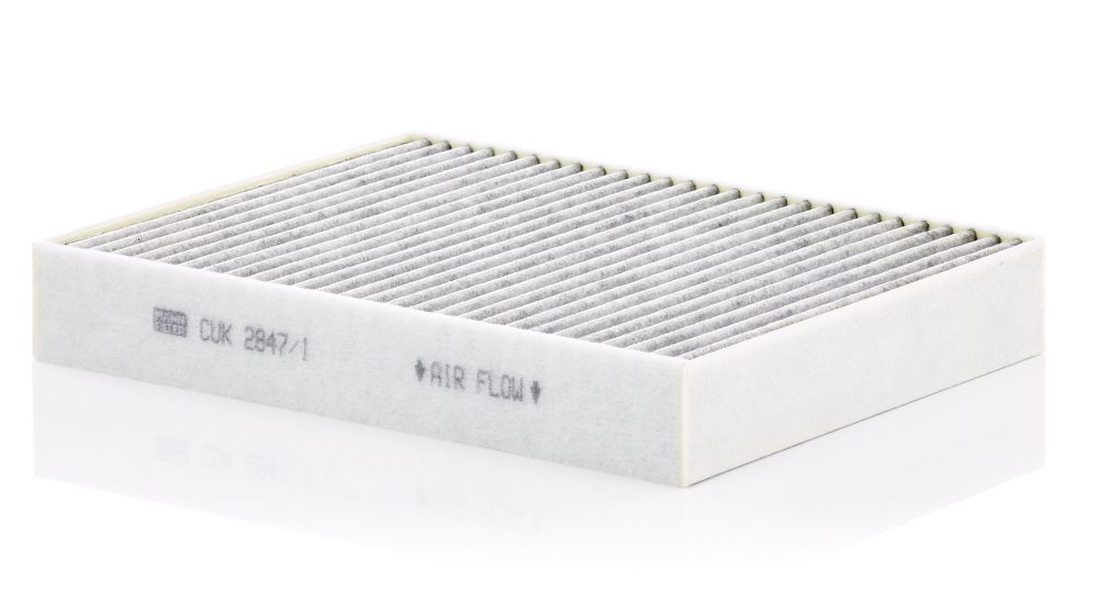 Filter, Innenraumluft