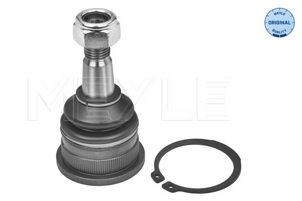 Trag-/Führungsgelenk