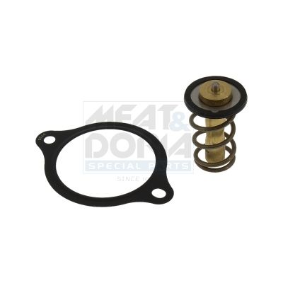 Thermostat, Kühlmittel