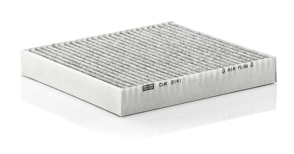 Filter, Innenraumluft