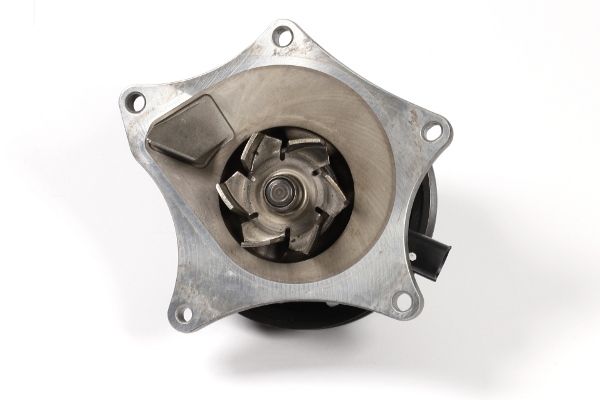 Wasserpumpe, Motorkühlung