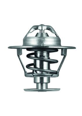 Thermostat, Kühlmittel