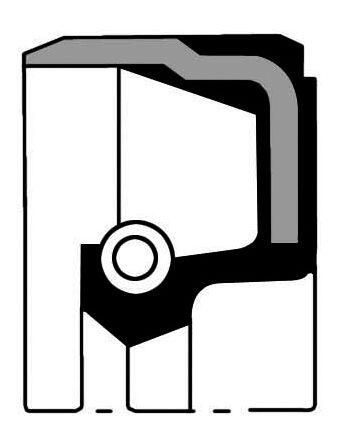 Wellendichtring, Kurbelwelle “PAYEN  , 11 mm, 120 mm”
