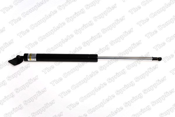 Gasfeder, Koffer-/Laderaum