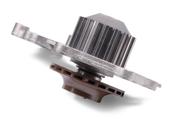 Wasserpumpe, Motorkühlung