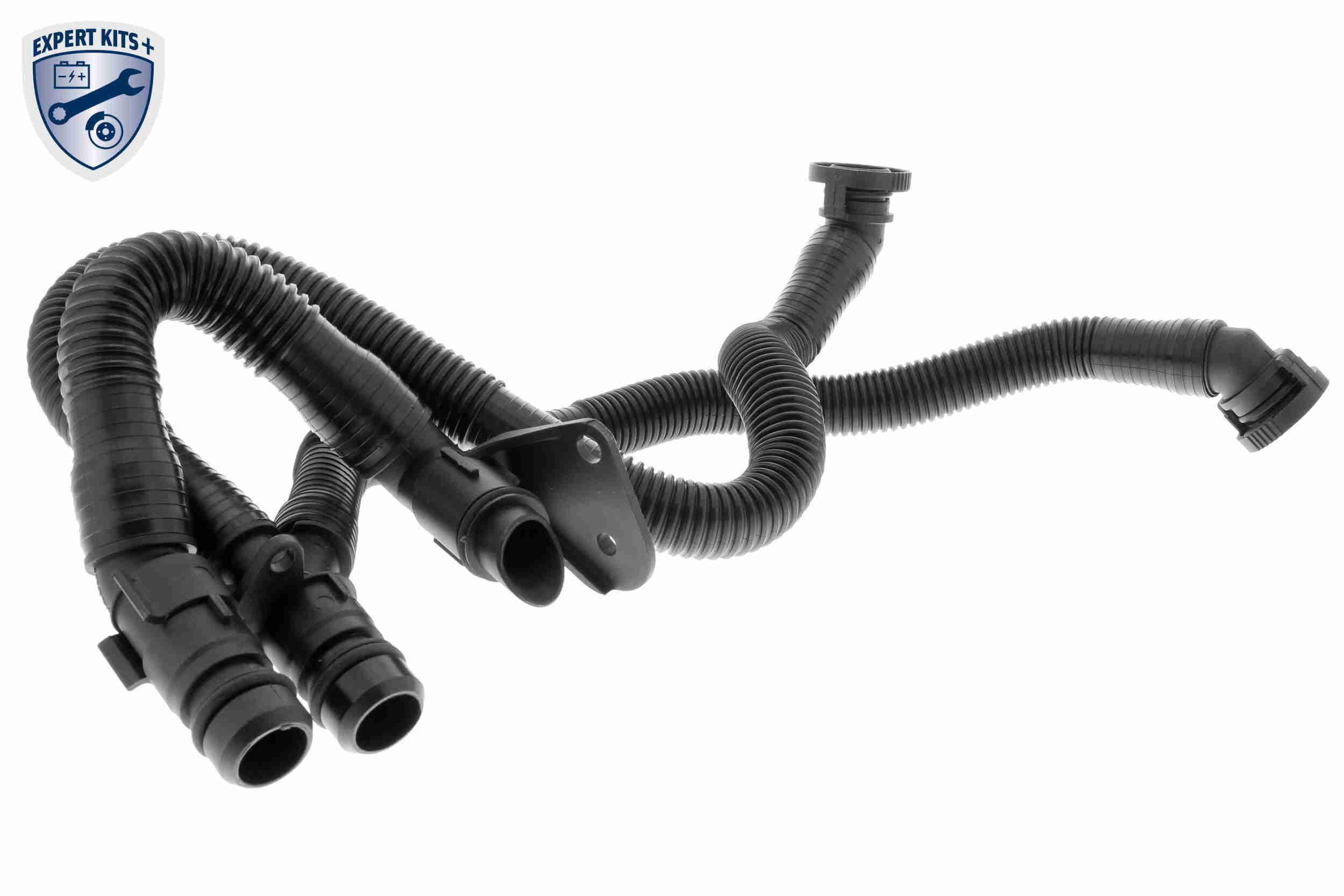 Schlauch, Kurbelgehäuseentlüftung