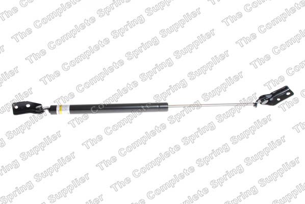 Gasfeder, Koffer-/Laderaum