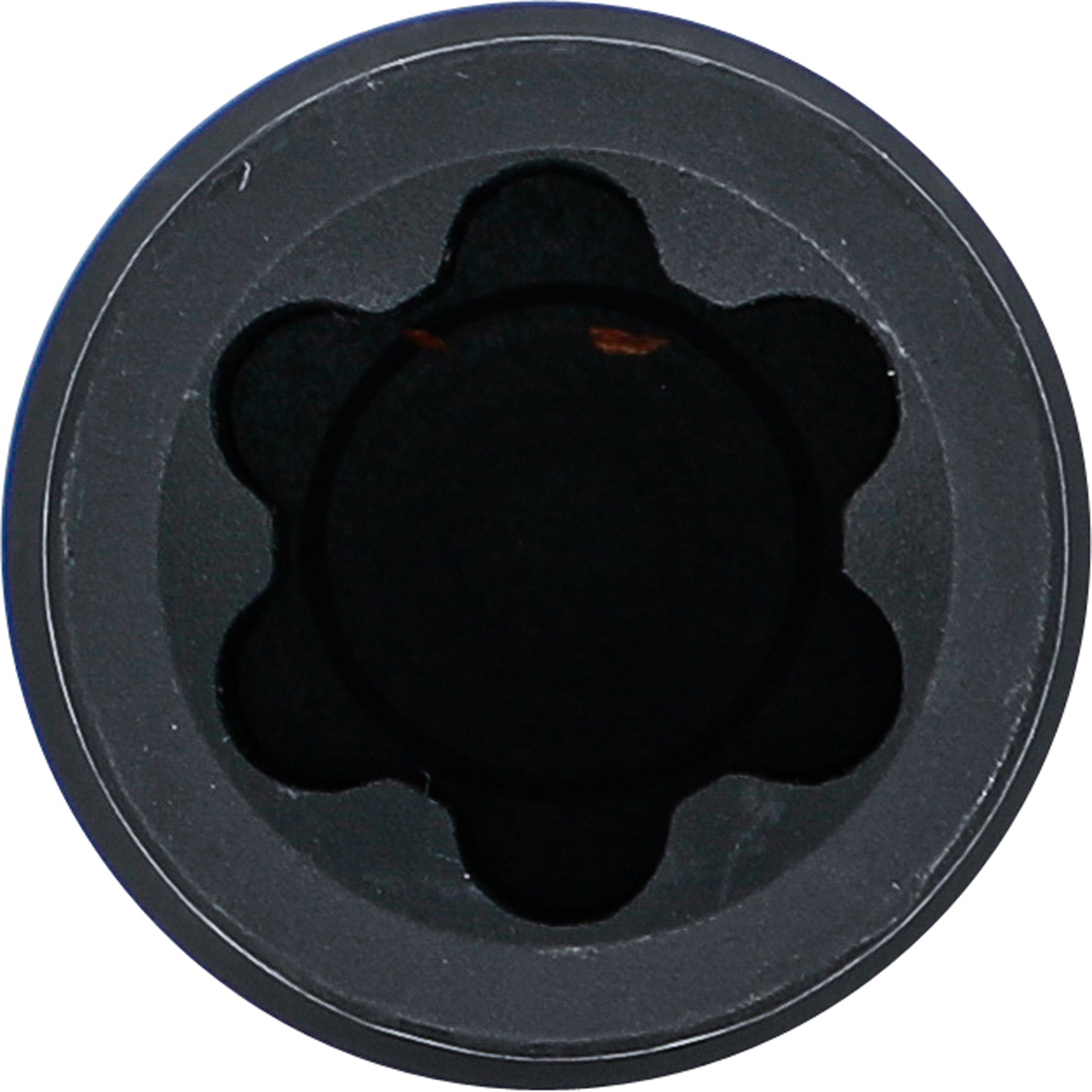 BGS Kraft-Steckschlüssel-Einsatz E-Profil, tief | Antrieb Innenvierkant 20 mm (3/4") | SW E26