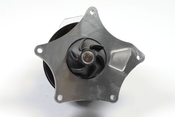 Wasserpumpe, Motorkühlung