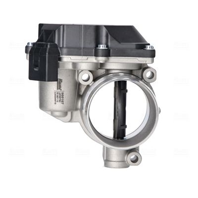 Drosselklappenstutzen