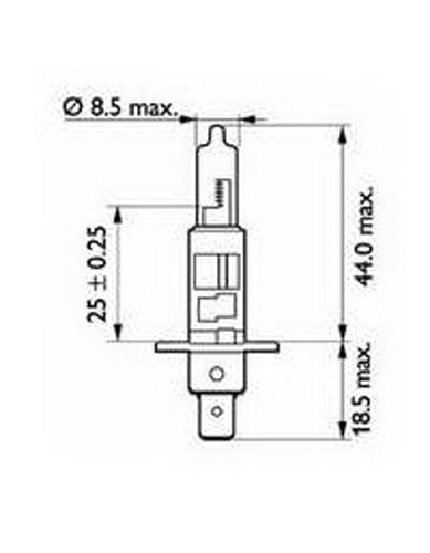 SCT Germany 202037 H1 White Autolampe 12V 55W P14,5s