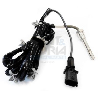 Sensor, Abgastemperatur