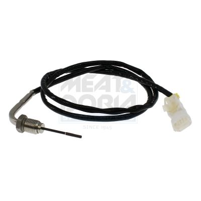 Sensor, Abgastemperatur